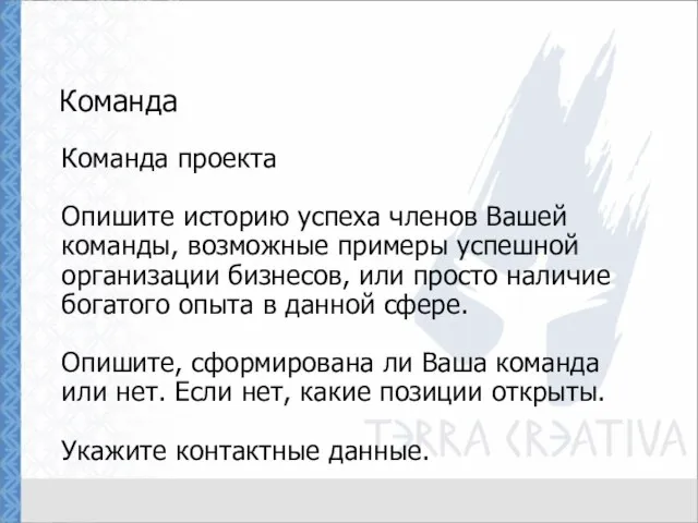 Команда Команда проекта Опишите историю успеха членов Вашей команды, возможные примеры успешной