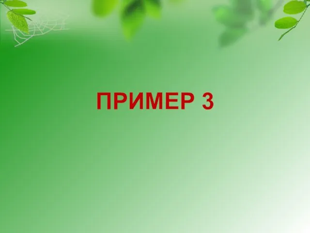 ПРИМЕР 3