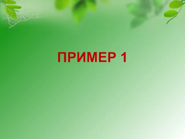 ПРИМЕР 1