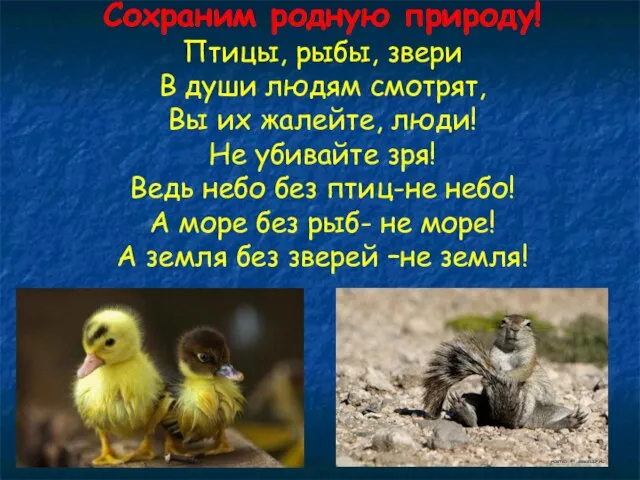 Сохраним родную природу! Птицы, рыбы, звери В души людям смотрят, Вы их