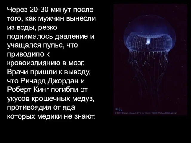 Через 20-30 минут после того, как мужчин вынесли из воды, резко поднималось