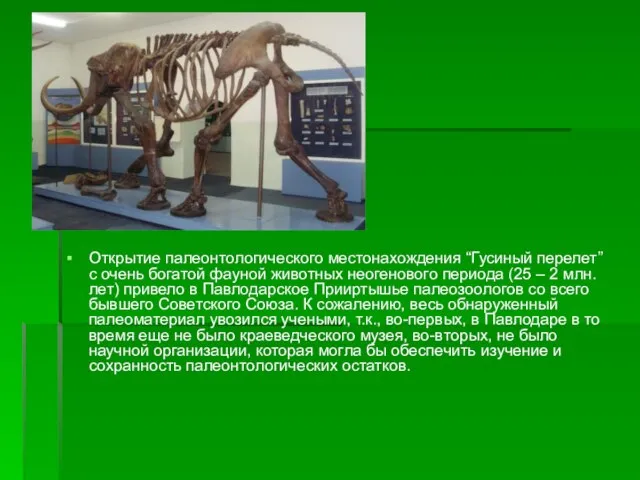 Открытие палеонтологического местонахождения “Гусиный перелет” с очень богатой фауной животных неогенового периода