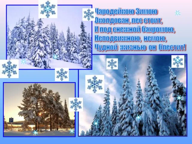 Чародейкою Зимою Околдован, лес стоит, И под снежной бахромою, Неподвижною, немою, Чудной жизнью он блестит!