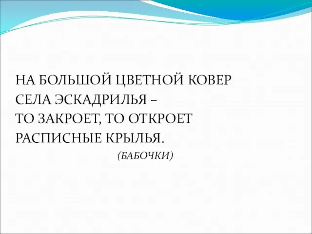 НА БОЛЬШОЙ ЦВЕТНОЙ КОВЕР СЕЛА ЭСКАДРИЛЬЯ – ТО ЗАКРОЕТ, ТО ОТКРОЕТ РАСПИСНЫЕ КРЫЛЬЯ. (БАБОЧКИ)