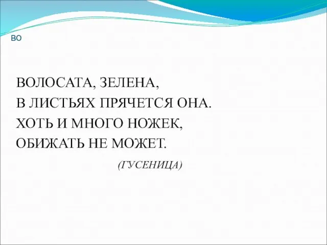 во ВОЛОСАТА, ЗЕЛЕНА, В ЛИСТЬЯХ ПРЯЧЕТСЯ ОНА. ХОТЬ И МНОГО НОЖЕК, ОБИЖАТЬ НЕ МОЖЕТ. (ГУСЕНИЦА)