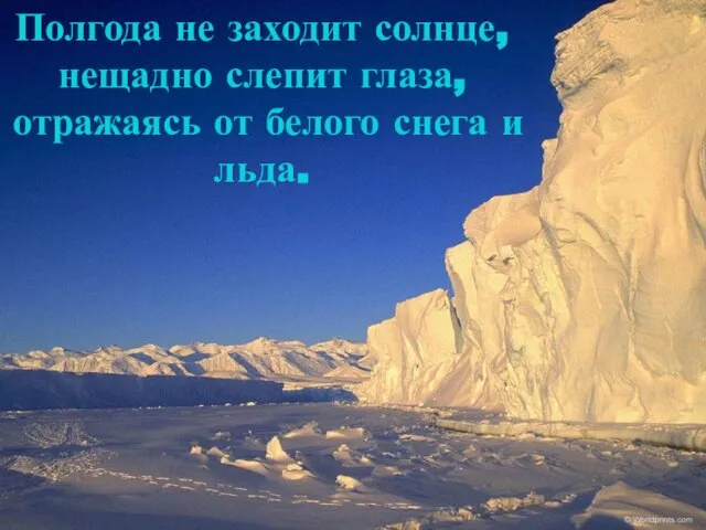 Полгода не заходит солнце, нещадно слепит глаза, отражаясь от белого снега и льда.