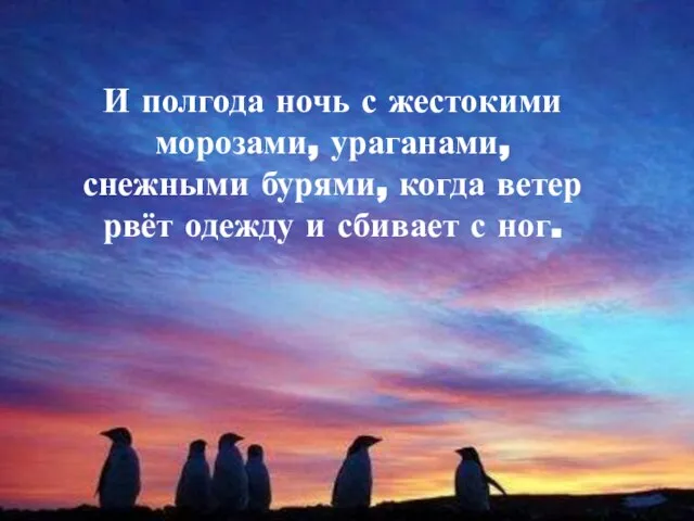 И полгода ночь с жестокими морозами, ураганами, снежными бурями, когда ветер рвёт