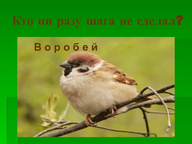 Кто ни разу шага не сделал? В о р о б е й