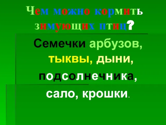 Чем можно кормить зимующих птиц? Семечки арбузов, тыквы, дыни, подсолнечника, сало, крошки.