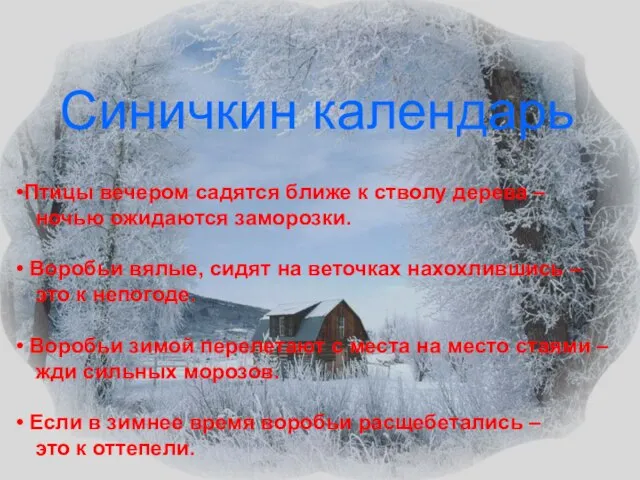 Синичкин календарь Птицы вечером садятся ближе к стволу дерева – ночью ожидаются