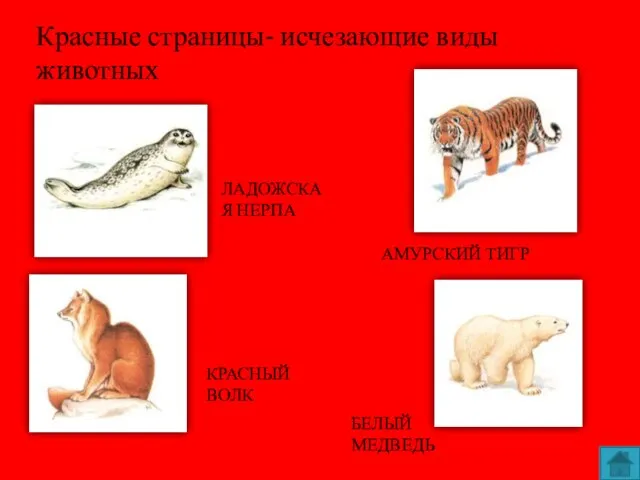 Красные страницы- исчезающие виды животных