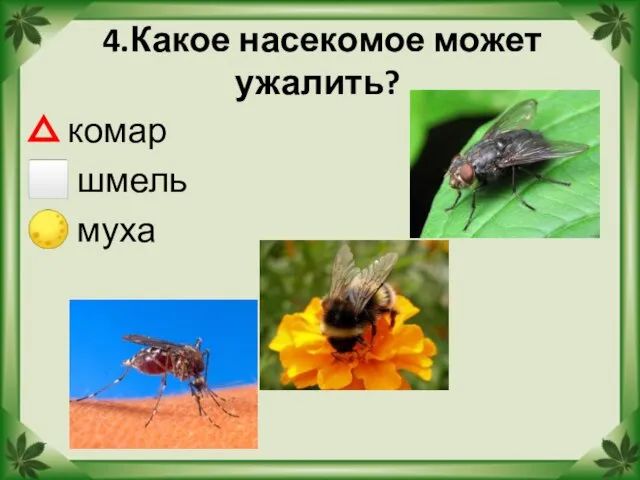 4.Какое насекомое может ужалить? △ комар ⬜ шмель ? муха