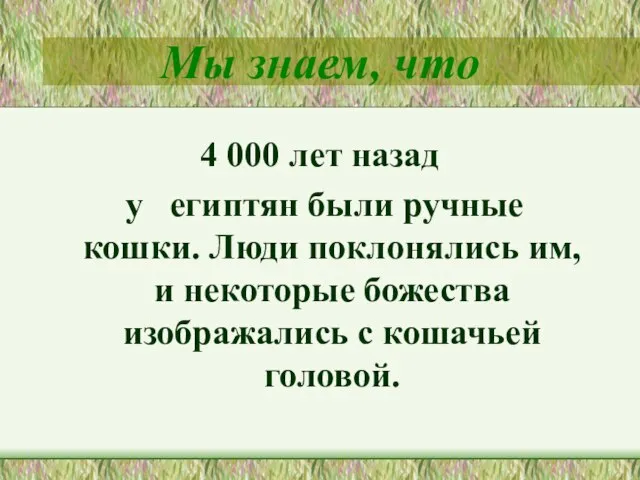 Мы знаем, что 4 000 лет назад у египтян были ручные кошки.