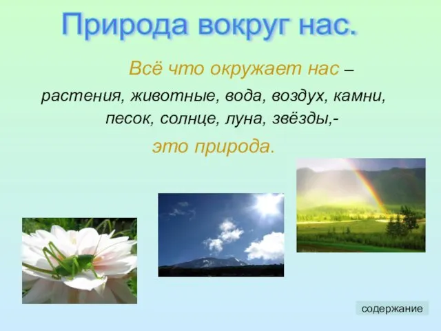 Всё что окружает нас – растения, животные, вода, воздух, камни, песок, солнце,