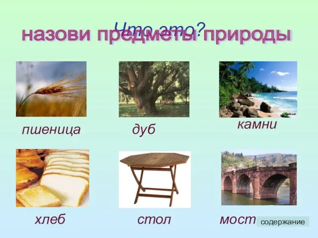 Что это? назови предметы природы пшеница дуб камни хлеб стол мост содержание