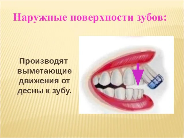 Производят выметающие движения от десны к зубу. Наружные поверхности зубов: