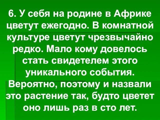 6. У себя на родине в Африке цветут ежегодно. В комнатной культуре