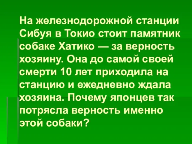 На железнодорожной станции Сибуя в Токио стоит памятник собаке Хатико — за