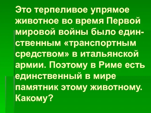 Это терпеливое упрямое животное во время Первой мировой войны было един-ственным «транспортным