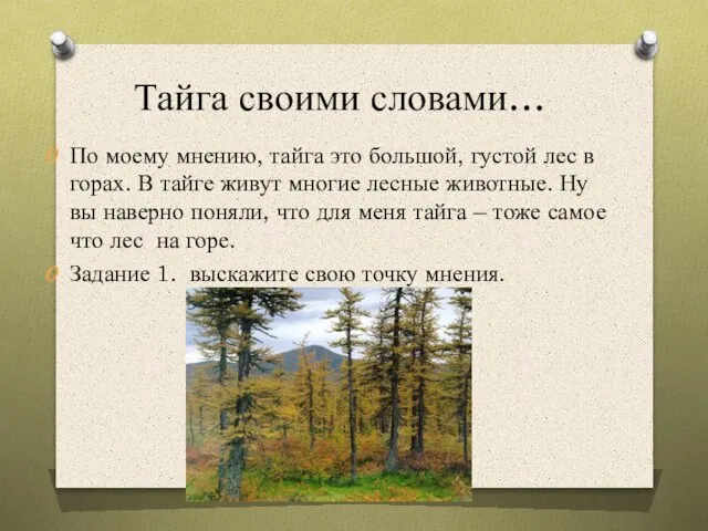 Тайга своими словами… По моему мнению, тайга это большой, густой лес в