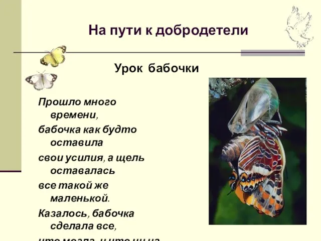 На пути к добродетели Прошло много времени, бабочка как будто оставила свои