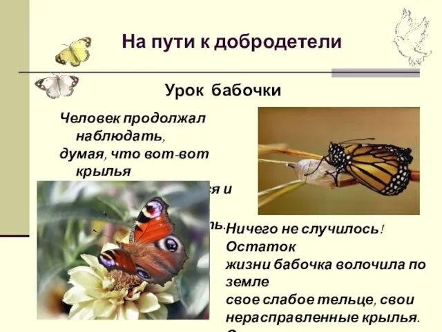 На пути к добродетели Человек продолжал наблюдать, думая, что вот-вот крылья бабочки