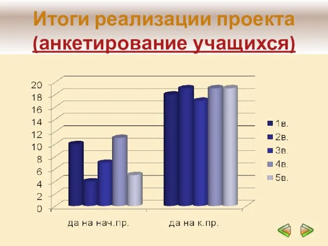 Итоги реализации проекта (анкетирование учащихся)