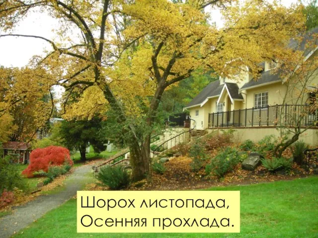 Шорох листопада, Осенняя прохлада.