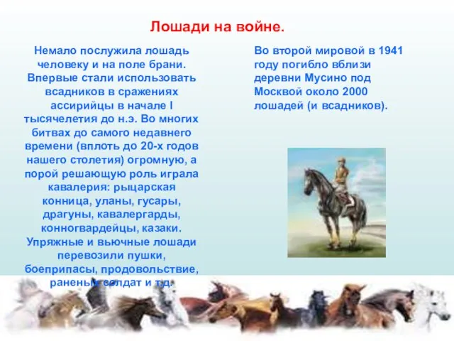 Лошади на войне. Немало послужила лошадь человеку и на поле брани. Впервые