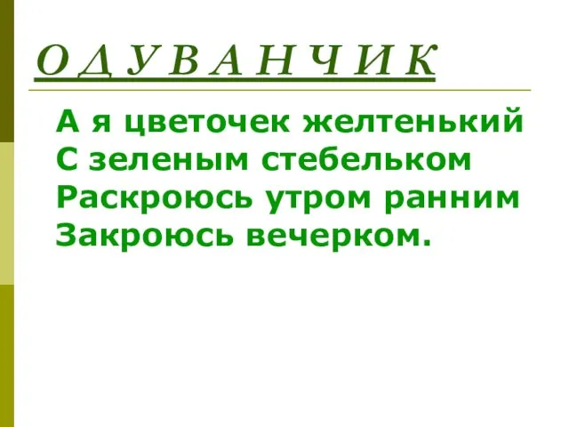 О Д У В А Н Ч И К А я цветочек