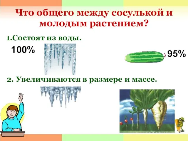 Что общего между сосулькой и молодым растением? 1.Состоят из воды. 95% 100%