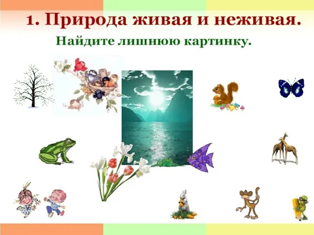 1. Природа живая и неживая. Найдите лишнюю картинку.