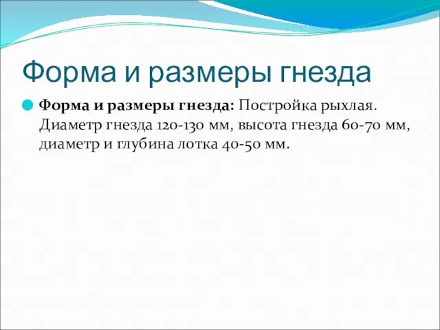 Форма и размеры гнезда Форма и размеры гнезда: Постройка рыхлая. Диаметр гнезда