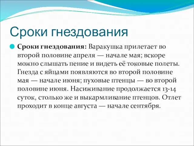 Сроки гнездования Сроки гнездования: Варакушка прилетает во второй половине апреля — начале