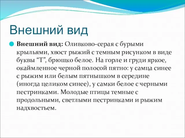 Внешний вид Внешний вид: Оливково-серая с бурыми крыльями, хвост рыжий с темным