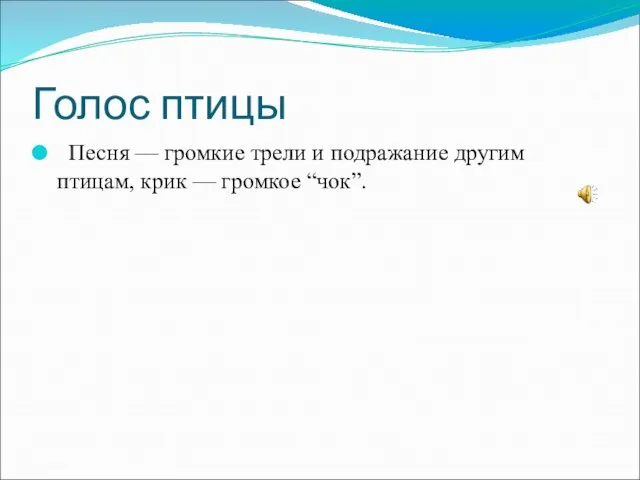 Голос птицы Песня — громкие трели и подражание другим птицам, крик — громкое “чок”.