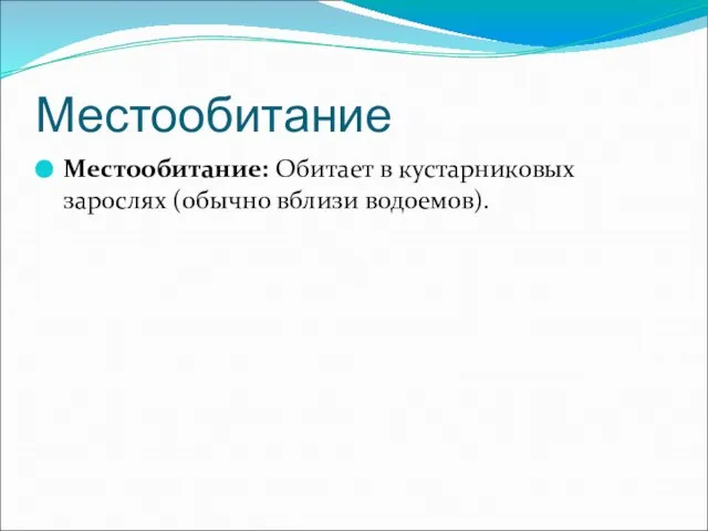 Местообитание Местообитание: Обитает в кустарниковых зарослях (обычно вблизи водоемов).