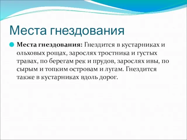 Места гнездования Места гнездования: Гнездится в кустарниках и ольховых рощах, зарослях тростника