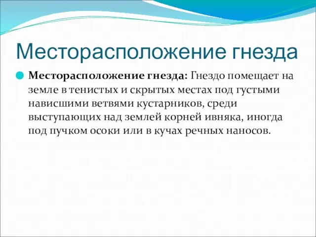 Месторасположение гнезда Месторасположение гнезда: Гнездо помещает на земле в тенистых и скрытых