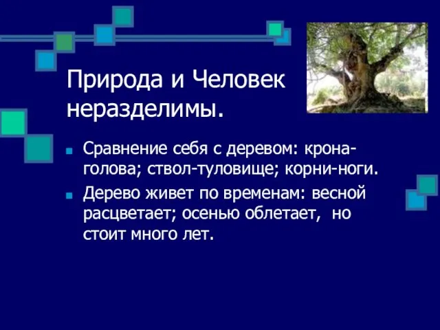 Природа и Человек неразделимы. Сравнение себя с деревом: крона-голова; ствол-туловище; корни-ноги. Дерево