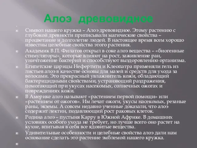 Алоэ древовидное Символ нашего кружка – Алоэ древовидное. Этому растению с глубокой