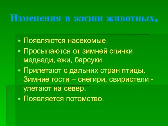 Изменения в жизни животных. Появляются насекомые. Просыпаются от зимней спячки медведи, ежи,