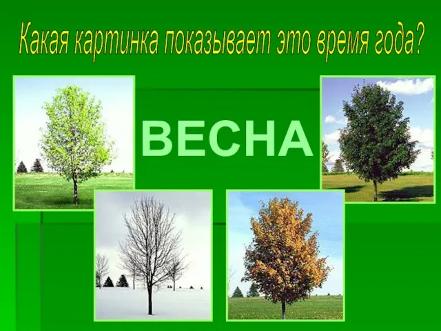 ВЕСНА Какая картинка показывает это время года?