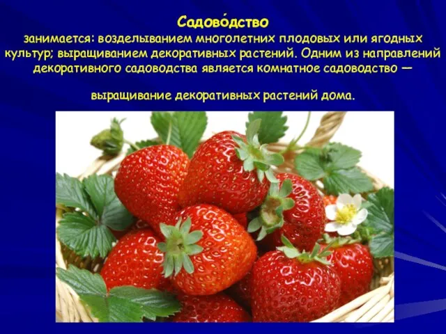 Садово́дство занимается: возделыванием многолетних плодовых или ягодных культур; выращиванием декоративных растений. Одним