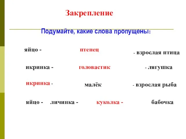 Закрепление Подумайте, какие слова пропущены: яйцо - птенец - взрослая птица икринка