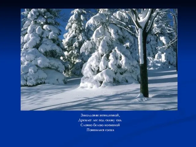 Заколдован невидимкой, Дремлет лес под сказку сна. Словно белою косынкой Повязалася сосна