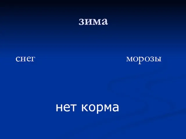 зима снег морозы нет корма