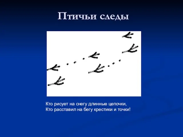 Птичьи следы Кто рисует на снегу длинные цепочки, Кто расставил на бегу крестики и точки!