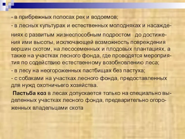 - в прибрежных полосах рек и водоемов; - в лесных культурах и