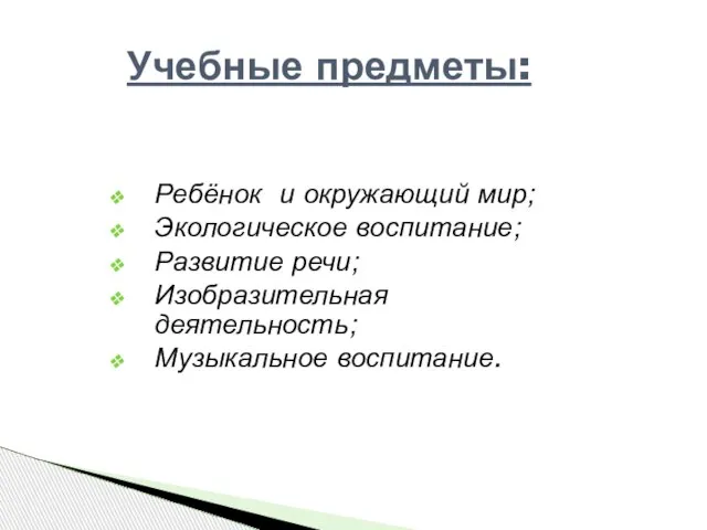 Ребёнок и окружающий мир; Экологическое воспитание; Развитие речи; Изобразительная деятельность; Музыкальное воспитание. Учебные предметы: